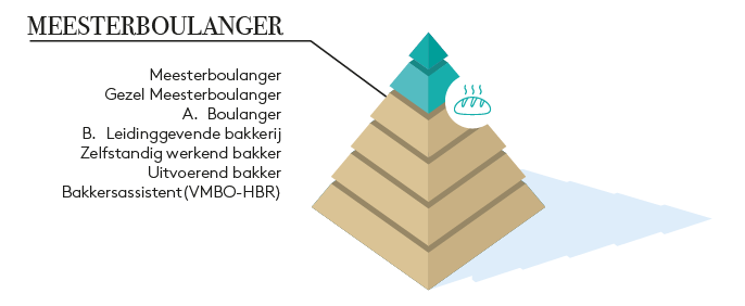 Diplomapiramide SVH Meesterboulanger